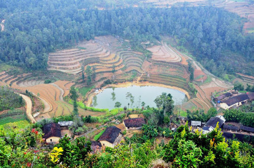 Du lịch Hà Giang ngăm long nhãn mắt rồng