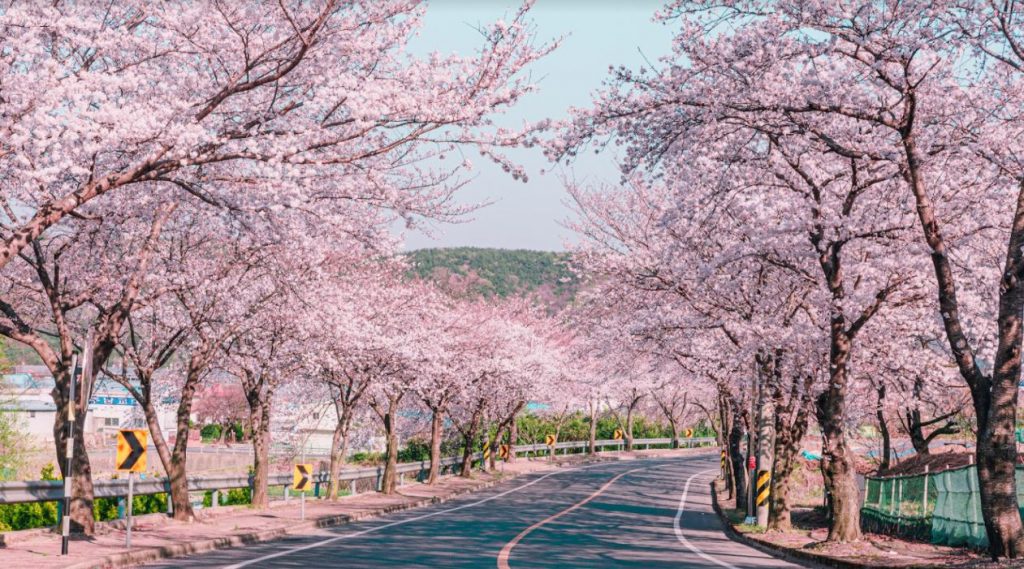 Tour Du Lịch Hà Nội – Seoul Hàn Quốc 5 Ngày 4 Đêm