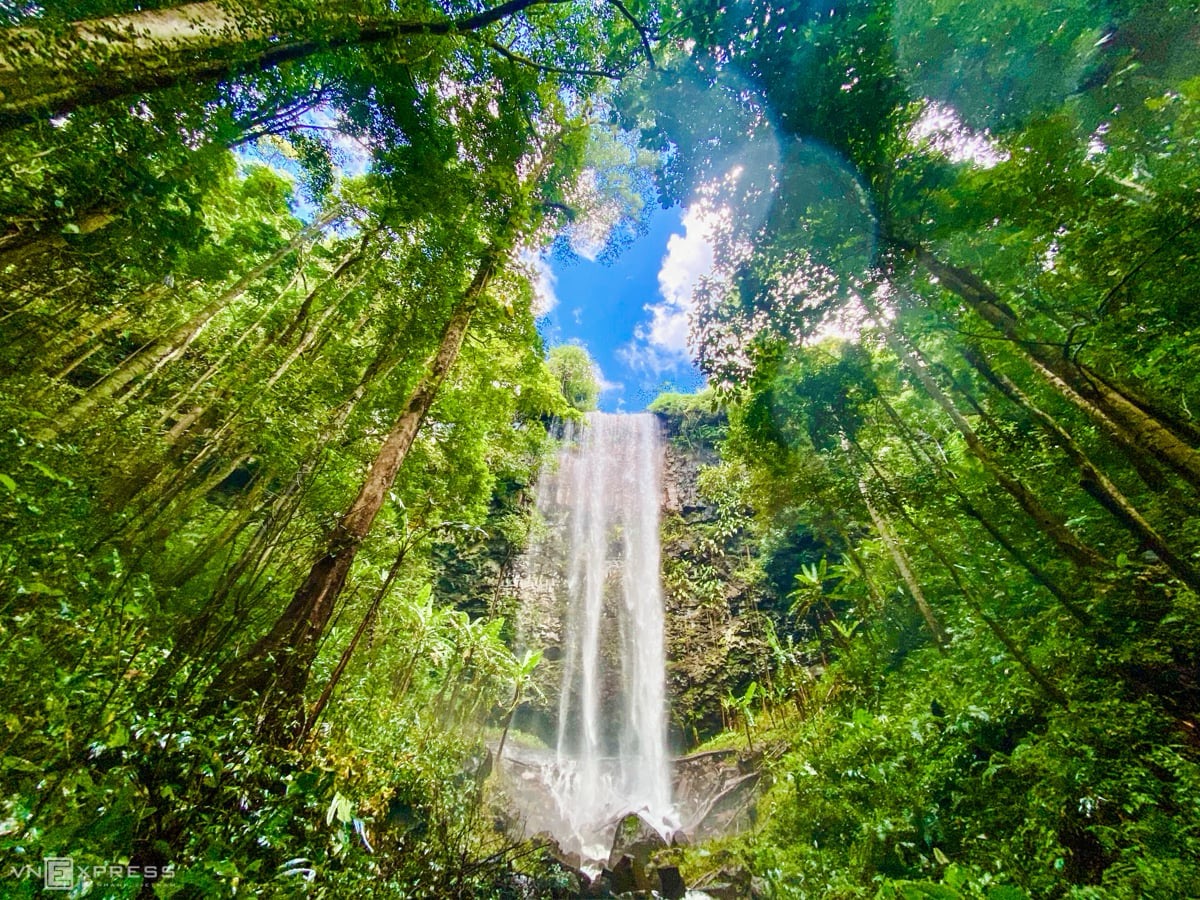 https://landviettourist.com/tour/tour-3-ngay-2-dem-kham-pha-tay-nguyen-dai-ngan-pleiku-kontum-mang-den/